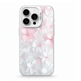Case Celina