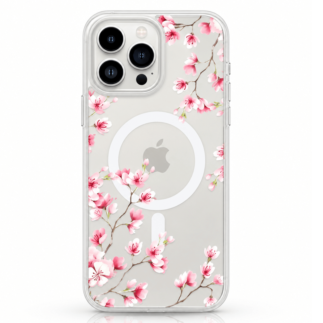 Case Isabella